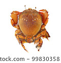 crab isolated on white background 99830358