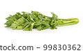 Celery isolated on white background 99830362