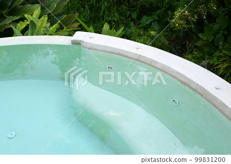 swimming pool in the garden 99831200