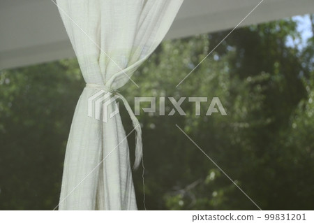 curtain in the room with natural background 99831201
