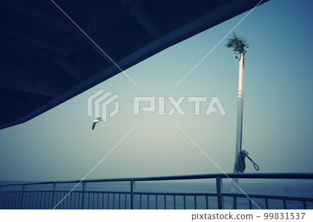 seagulls seen from the ferry seagulls seen from the ferry 99831537