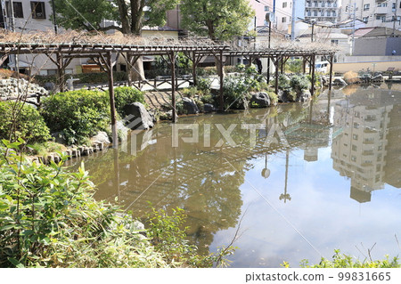 Bunkyo Ward Sudo Park Pond and wisteria trellis Sendagi, Bunkyo Ward Bunkyo Ward Sudo Park Pond and wisteria trellis Sendagi, Bunkyo Ward 99831665