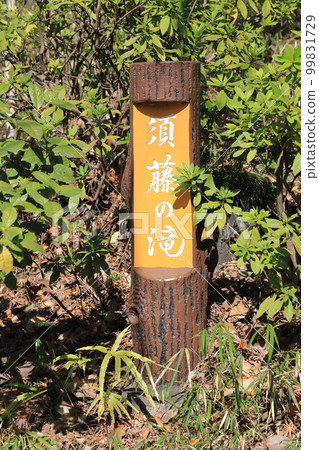 Bunkyo Ward Sudo Park Sudo Falls Sendagi, Bunkyo Ward Bunkyo Ward Sudo Park Sudo Falls Sendagi, Bunkyo Ward 99831729