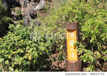 文京區須藤公園須藤瀑布仙台木，文京區 99831730