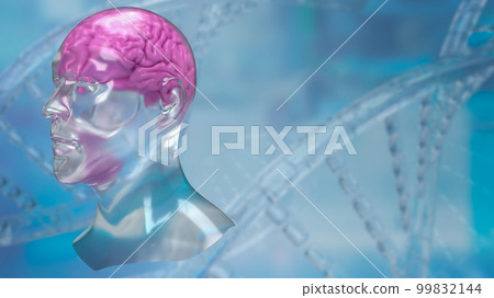 The crystal head and brain for sci or education concept 3d rendering 99832144