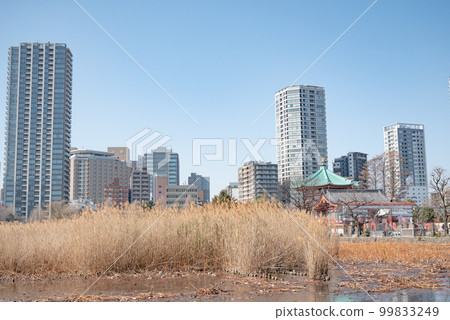 冬季不忍池周邊的城市風光 99833249