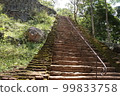 Asian heritage stone stairs 99833758