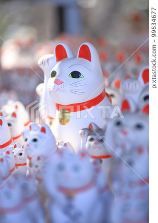 Gotokuji lucky cat Gotokuji lucky cat 99834677