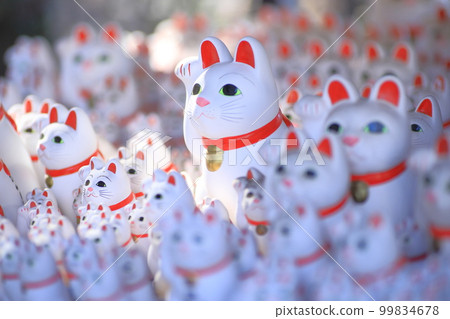 Gotokuji lucky cat 99834678