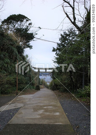 千葉縣勝浦市富崎神社的鳥居 千葉縣勝浦市富崎神社的鳥居 99834689