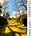 [Kofu City, Yamanashi Prefecture] Takeda Shrine 99834705
