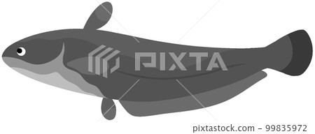 巨型fish魚 巨型fish魚 99835972