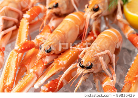 Fresh scampi (langoustine) 99836429