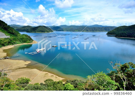 Amami Oshima Oshima Strait Water surface shining like a mirror Amami Oshima Oshima Strait Water surface shining like a mirror 99836460