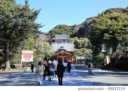 鶴岡八幡宮 99837224