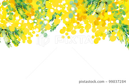 Cute fashionable mimosa background illustration 99837284