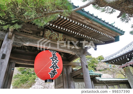 哈斯神廟 99837390