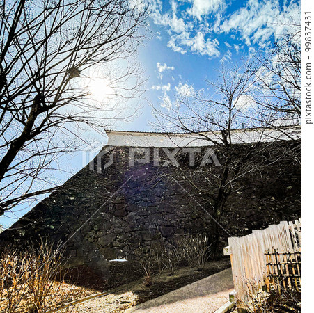 [Kofu City] Maizuru Castle Park 99837431