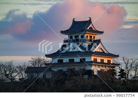 Chiba Prefecture / Tateyama Castle in the setting sun (Tateyama Castle Ruins) 99837754