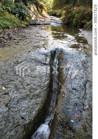 Asani Natiru 99837829