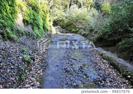 Asani Natiru 99837870