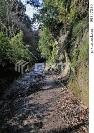 Asani Natiru Asani Natiru 99837880