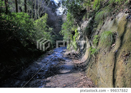 Asani Natiru Asani Natiru 99837882