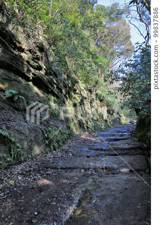 Asani Natiru 99837886