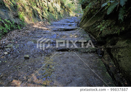 Asani Natiru 99837887