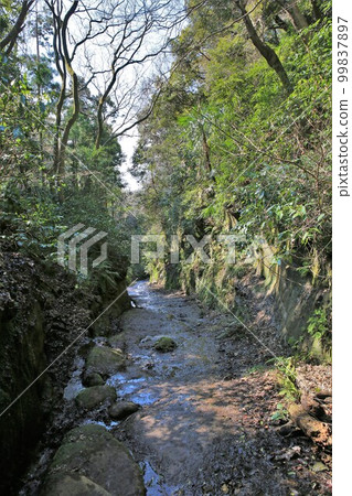 Asani Natiru Asani Natiru 99837897