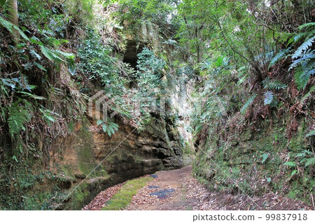 Asani Natiru 99837918