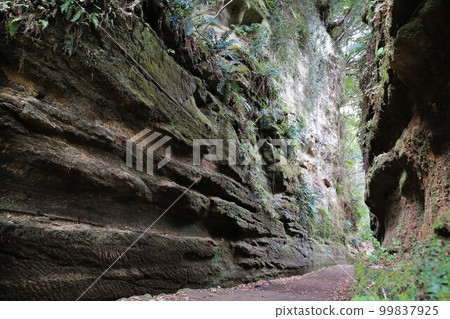 Asani Natiru Asani Natiru 99837925