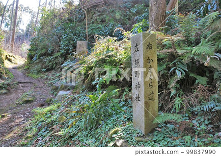 Kumano Shrine 99837990