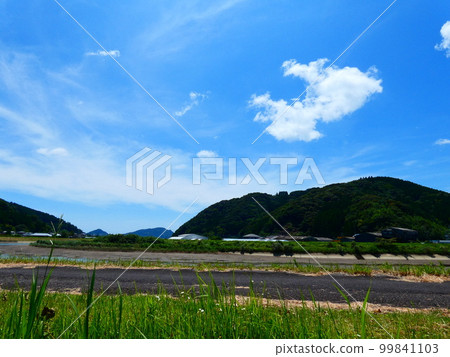 Blue sky, blue sea and park 99841103
