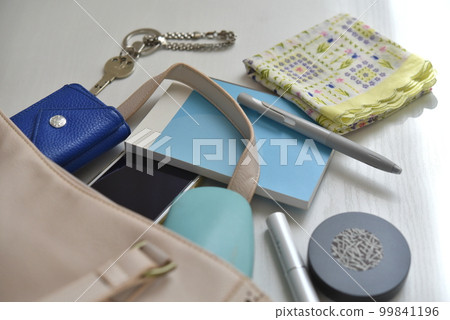 The contents of the bag The contents of the bag 99841196