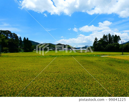 Blue sky, blue sea and park 99841225