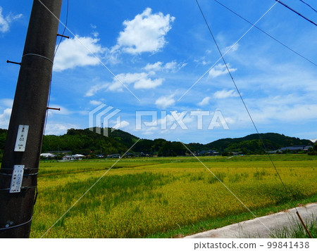 Blue sky, blue sea and park 99841438