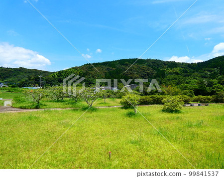 Blue sky, blue sea and park 99841537