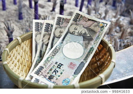 鎌倉錢洗井神社 鎌倉錢洗井神社 99841633