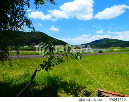 Blue sky, blue sea and park 99841712