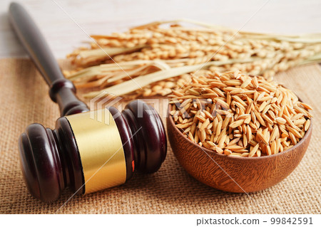 Judge gavel hammer with good grain rice from agriculture farm. Law and justice court concept. 99842591