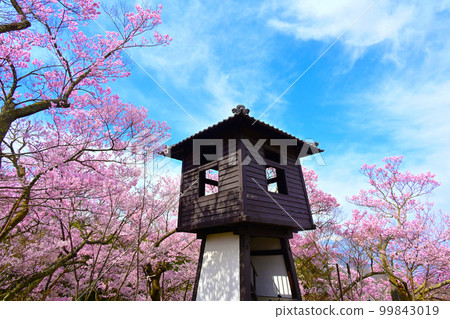 Taiko Yagura and Takato Higanzakura 99843019