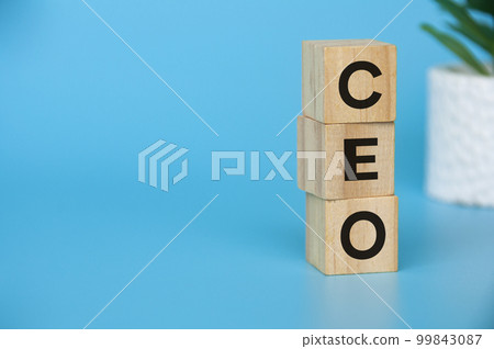 CEO text on wooden blocks with customizable space for text or ideas. CEO and copy space concept. 99843087