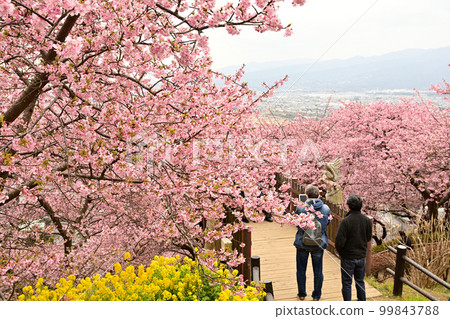 Kanagawa Nishihirahata Park Kanagawa Nishihirahata Park 99843788