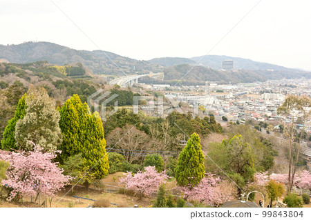 神奈川西平畑公園 神奈川西平畑公園 99843804