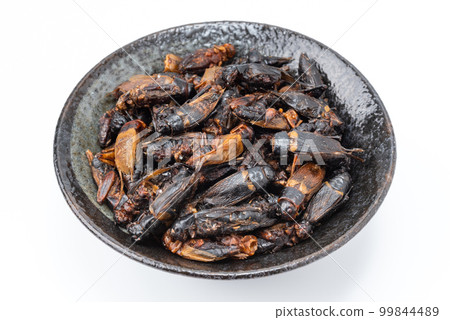 Edible cricket _ insect food _ SDGs _ dried Futahoshi cricket _ copy space Edible cricket _ insect food _ SDGs _ dried Futahoshi cricket _ copy space 99844489