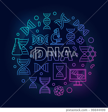 Vector DNA colorful round illustration or symbol 99844499