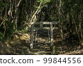 The approach to the ruins of Kario Shrine in Ashiya Town, Fukuoka Prefecture 99844556