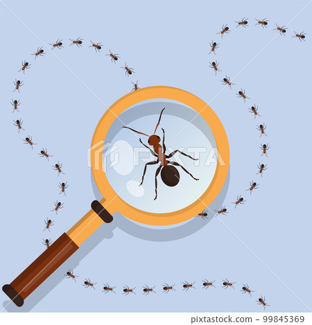Ant animal. Magnifier zoom lens eyes. Crawling insects. Macro computer look. Marching termites. Magnifying glass for entomology research. Business solution search. Vector current illustration concept 99845369