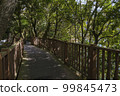 Sunlight filtering through the leaves of the Hata Reservoir promenade 99845473